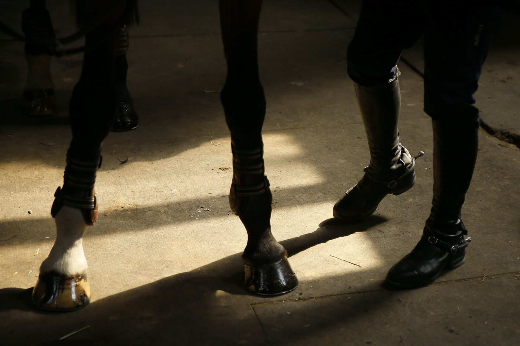 Virus Outbreak Olympic Equestrian Photo Gallery